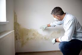 Best Commercial Mold Inspection  in Vauxhall, NJ